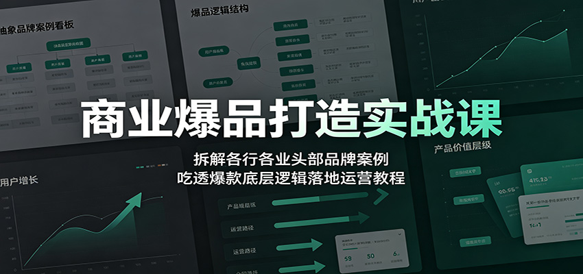 商业爆品打造实战课：拆解各行各业头部品牌案例，吃透爆款底层逻辑落地运营教程-三禾网络