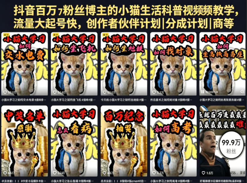 抖音百万粉丝博主的小猫生活科普视频教学，流量大起号快，创作者伙伴计划|分成计划|商单|收徒等-三禾网络