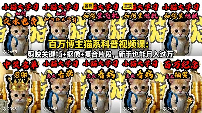 百万博主猫系科普视频课：剪映关键帧+抠像+复合片段，新手也能月入过万-三禾网络