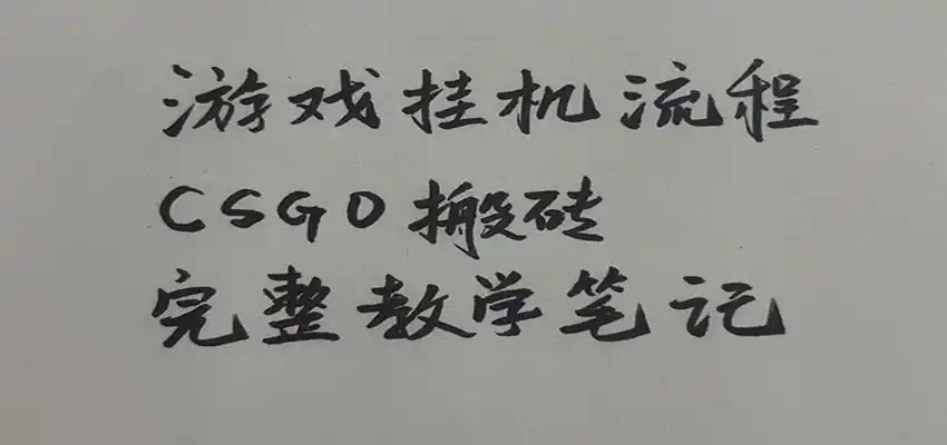 游戏挂机全流程笔记分享,CSGO游戏搬砖,小白看了当天学会见收益-三禾网络