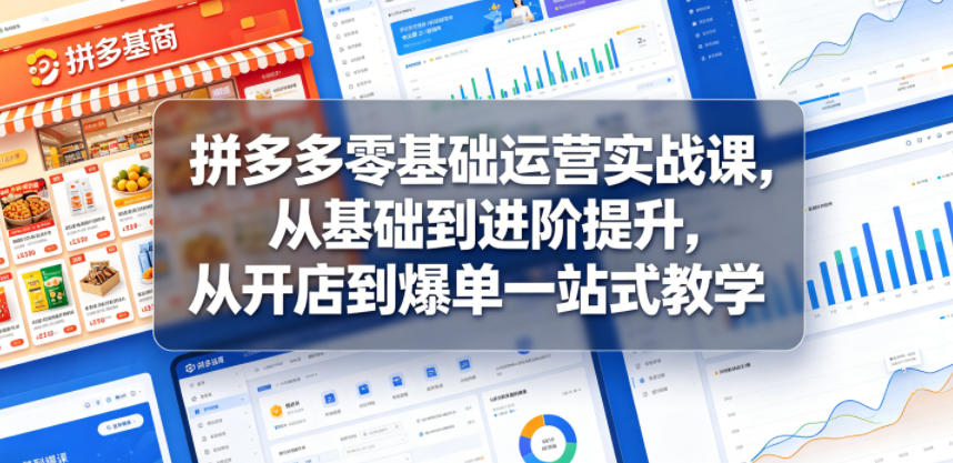 拼多多零基础运营实战课，从基础到进阶提升，从开店到爆单一站式教学-三禾网络