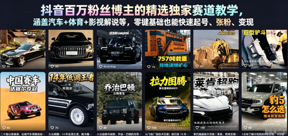抖音百万粉丝博主的精选独家赛道教学，涵盖汽车+体育+影视解说等，零基础也能快速起号、涨粉、变现-三禾网络
