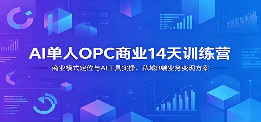 AI单人OPC商业14天训练营：商业模式定位与AI工具实操，私域B端业务变现方案-三禾网络