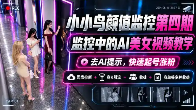 小小鸟颜值监控第四期，监控中的AI美女视频教学，去AI提示，快速起号涨粉，网盘拉新+商K引流+收徒+商单等多种收益-三禾网络