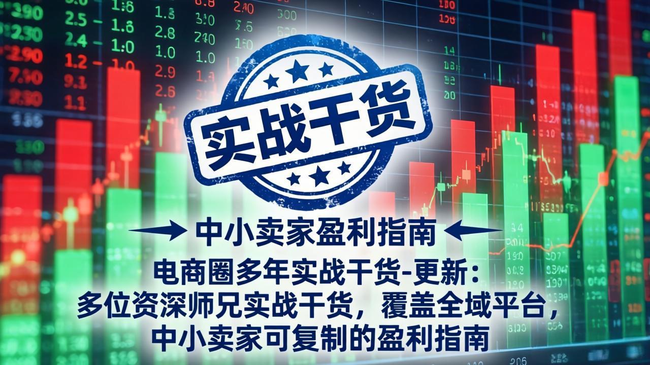 电商圈多年实战干货-更新5月10：多位资深师兄实战干货/覆盖全域平台，中小卖家可复制的盈利指南-三禾网络
