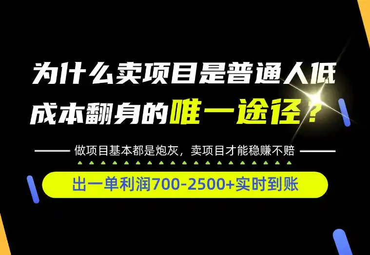 普通人如何靠互联网賺取自己的第一桶金!全类目实操型教学,看完你全都懂了!【揭秘】-三禾网络