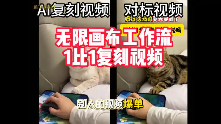宠物带货视频复刻，无限画布工作流1比1，不用拍摄、不用布景、不用真人出镜，几分钟就能做出一条专业带货视频-三禾网络