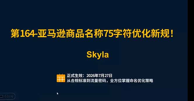 亚马逊跨境实战课:全品类选品逻辑|SP/SB/SD广告精细化|新品打爆旺季爆单全套运营教程-三禾网络