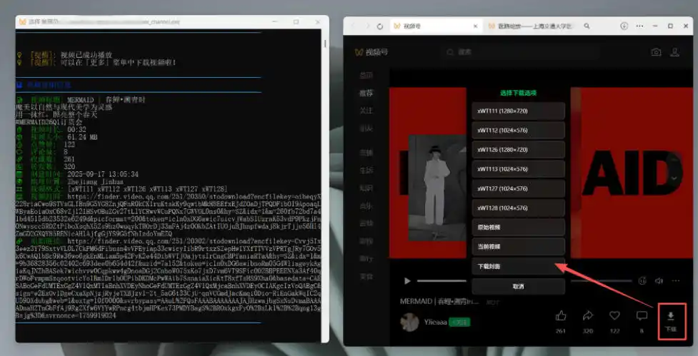 Github热门工具，视频号下载神器又来了！一键注入下载按钮，轻松下载，使用便捷wx_channel-三禾网络