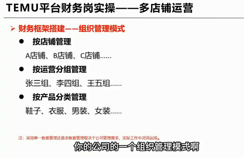 TEMU全盘账务实操课：账单导出、科目设置、利润核算-三禾网络
